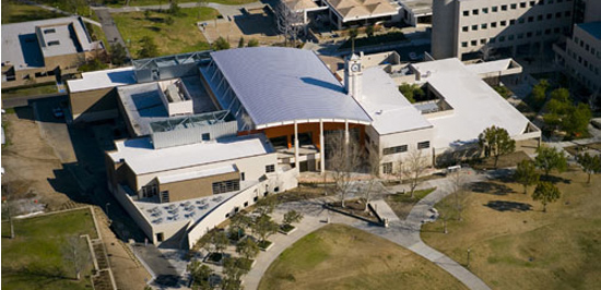 CALIFORNIA STATE UNIVERSITY